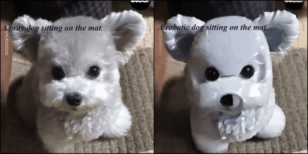 Gray dog transformation